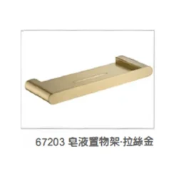 皂液置物架-拉絲金